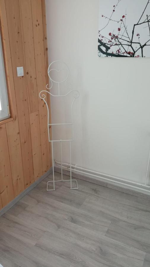 Apartmán L'Ecrin Des Vosges Gérardmer Exteriér fotografie